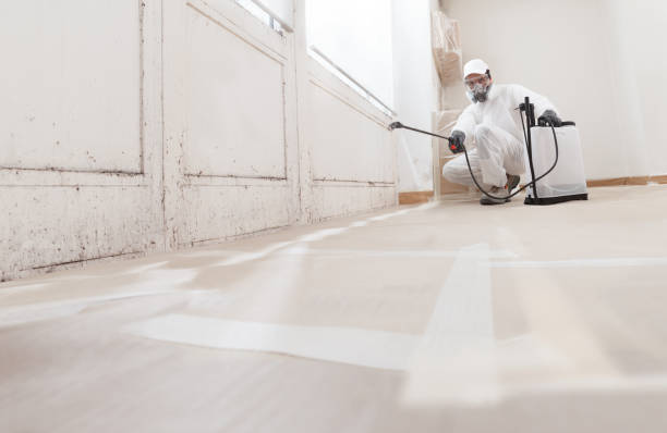 24/7 Emergency Crawl Space Mold Removal experts in Kingston, WA