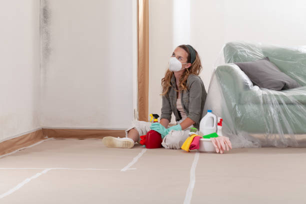 Reliable Crawl Space Mold Removal contractor in Kingston, WA by WQB Mold Removal